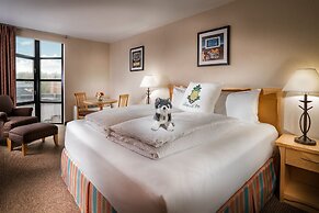 Staypineapple, University Inn, University District Seattle