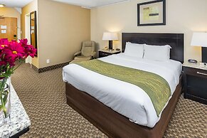 Comfort Inn & Suites Downtown Edmonton