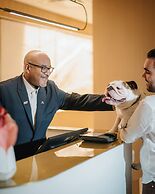 Montreal Marriott Chateau Champlain