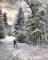 Bluebird Lake Placid