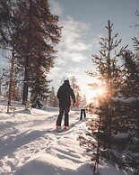 Bluebird Lake Placid