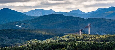 Bluebird Lake Placid