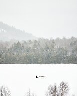 Bluebird Lake Placid