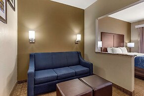 Comfort Inn & Suites Alameda at Albuquerque Balloon Fiesta Park