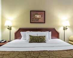 Quality Inn Downtown