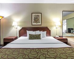 Quality Inn Downtown