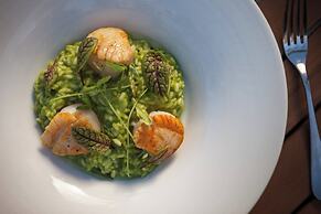 West Palm Beach Marriott