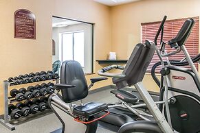 Quality Inn & Suites Niles