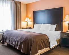 Quality Inn & Suites Niles