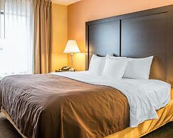 Quality Inn & Suites Niles