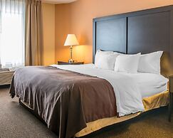 Quality Inn & Suites Niles