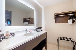 Econo Lodge Inn & Suites Foley - North Gulf Shores