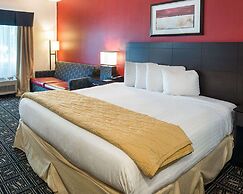 Quality Inn - In the business district