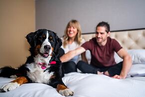 Hilton Whistler Resort & Spa