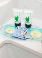 Brisa Pacific Hotel Encinitas