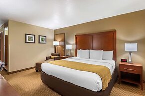 Comfort Inn & Suites Springfield I-44
