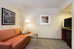 Hampton Inn Houston-Near The Galleria