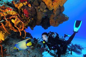 Cozumel Palace All Inclusive