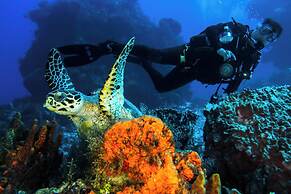 Cozumel Palace All Inclusive