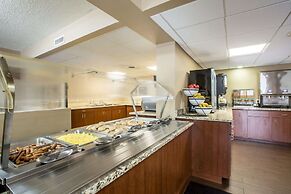 Comfort Inn & Suites At Dollywood Lane