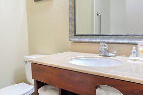 Comfort Inn & Suites At Dollywood Lane