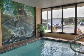 Comfort Inn & Suites At Dollywood Lane