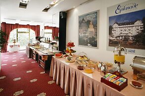 Ambassador Zlatá husa