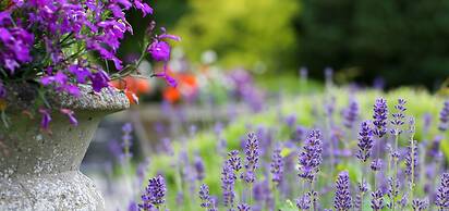 Stratton House Hotel & Spa