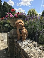 Stratton House Hotel & Spa