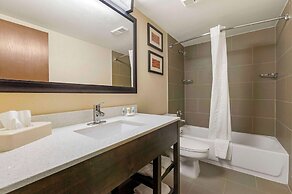 Comfort Inn & Suites North at the Pyramids