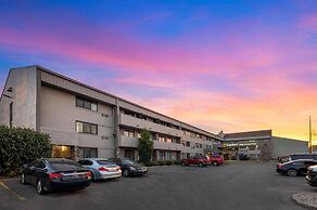 Comfort Inn & Suites North at the Pyramids