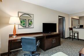 Crowne Plaza Houston Galleria Area by IHG