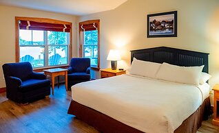 Rodd Brudenell River