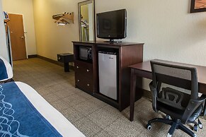 Comfort Inn & Suites DeLand - near University