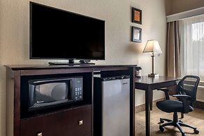 Comfort Inn & Suites DeLand - near University