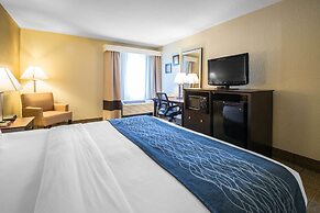 Comfort Inn & Suites DeLand - near University