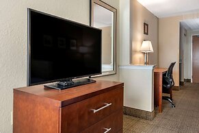 Comfort Inn & Suites DeLand - near University