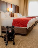 Comfort Suites Springfield-Eugene