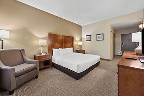 Comfort Inn Fort Myers Northeast