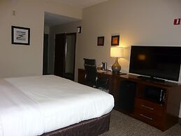 Comfort Inn Fort Myers Northeast