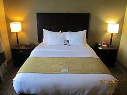 Comfort Suites North