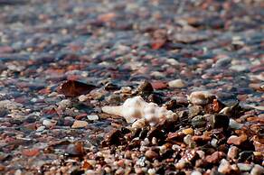 Leonardo Plaza Hotel Eilat