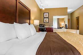 Comfort Inn & Suites Mishawaka - South Bend