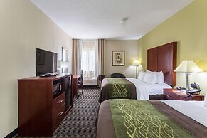 Comfort Inn Decatur Priceville