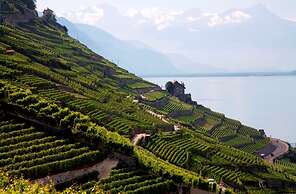 Hotel Lavaux