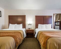 Comfort Inn Elko