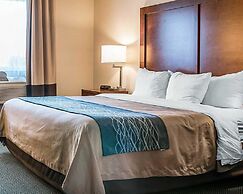 Bluffton Inn and Suites