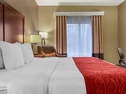 Comfort Inn Duncansville - Altoona