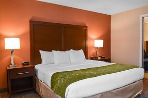 Comfort Suites Downtown Carlisle