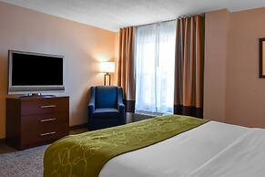 Comfort Suites Downtown Carlisle